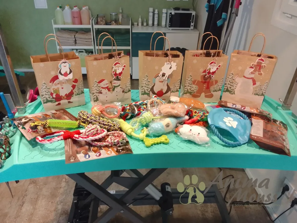 Croquette chien à Rouillac